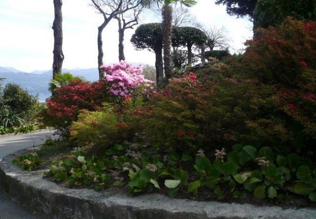 Appartamento a Brezzo di Bedero - Amarys 2 apartment in residence with lake view Appartamento a Brezzo di Bedero - Amarys 2 apartment in residence with lake view