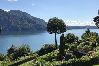 Appartamento a Ghiffa - St  Maurice smile lake view apartment with pool