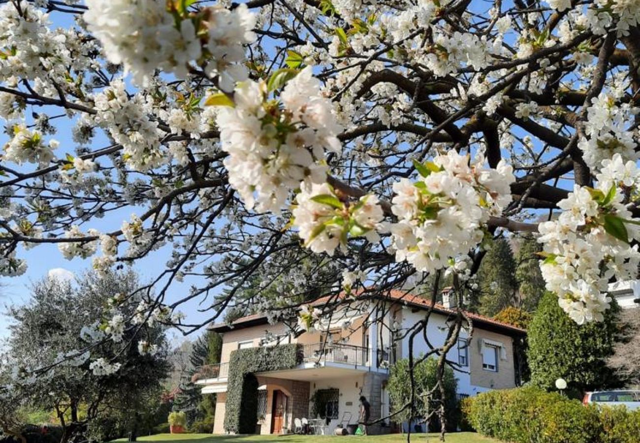 Appartamento a Verbania - Ines apartment in villa with garden and small pool