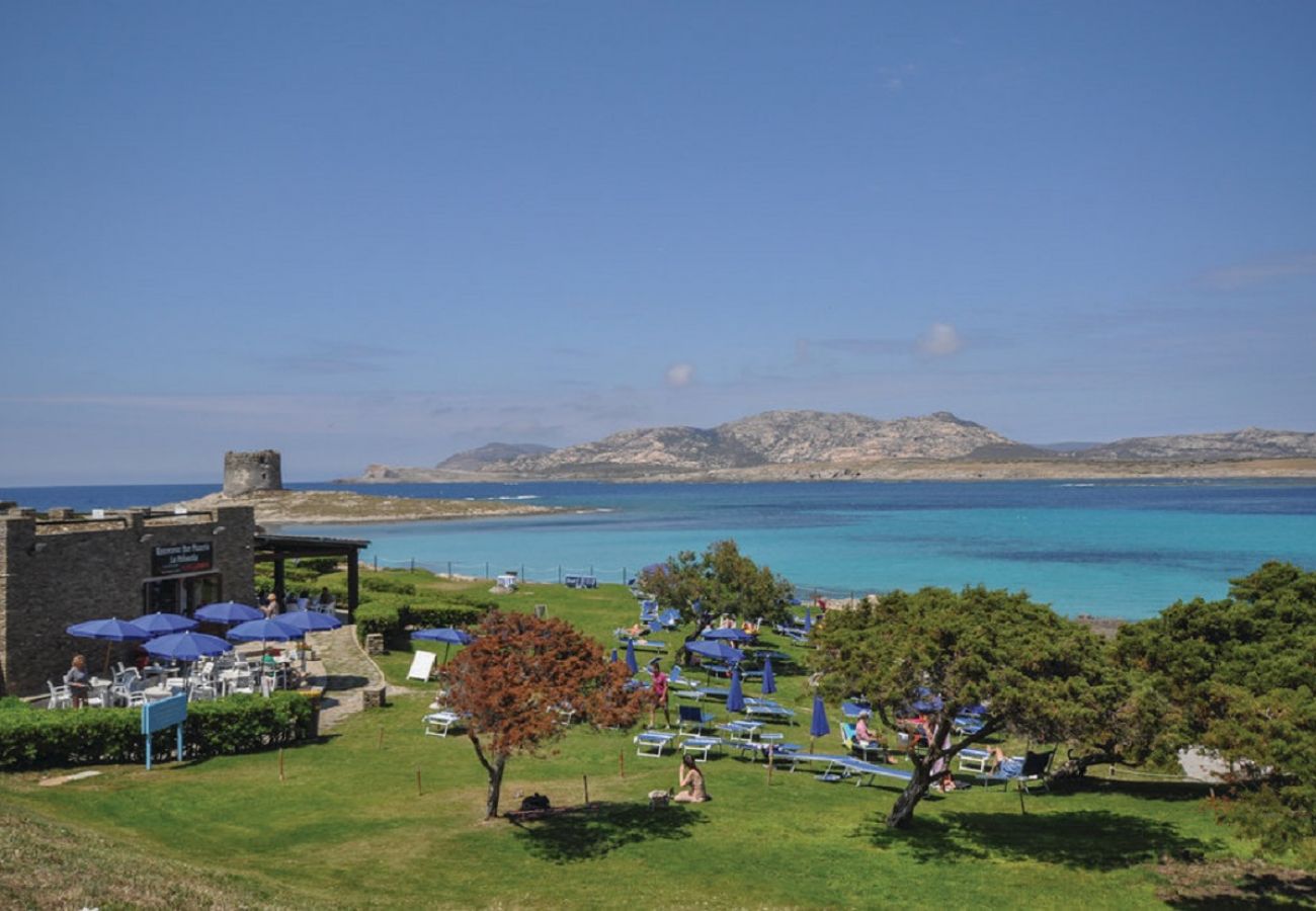 Villa a Stintino - Eduard Villa in residence in Sardinia with pool