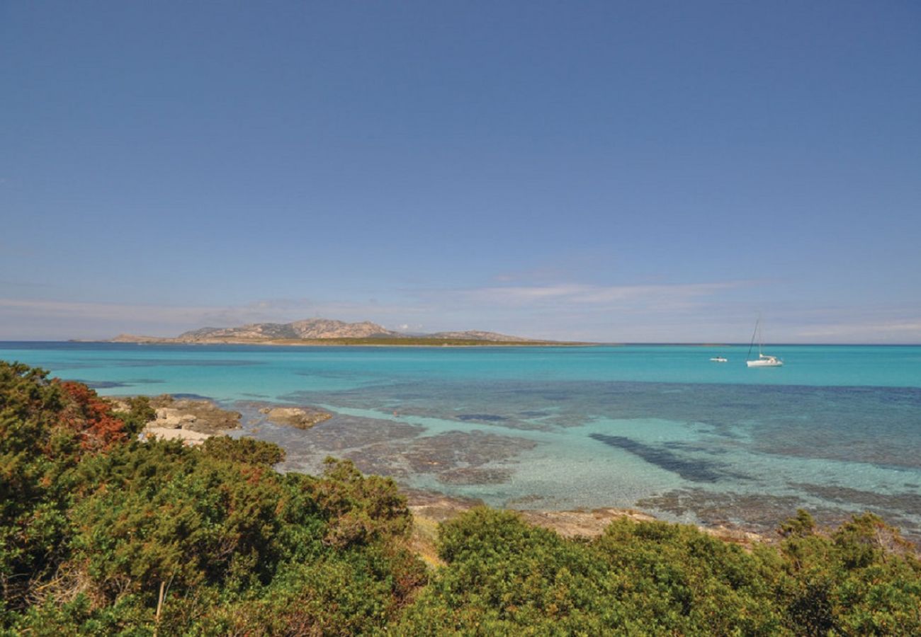 Villa a Stintino - Eduard Villa in residence in Sardinia with pool