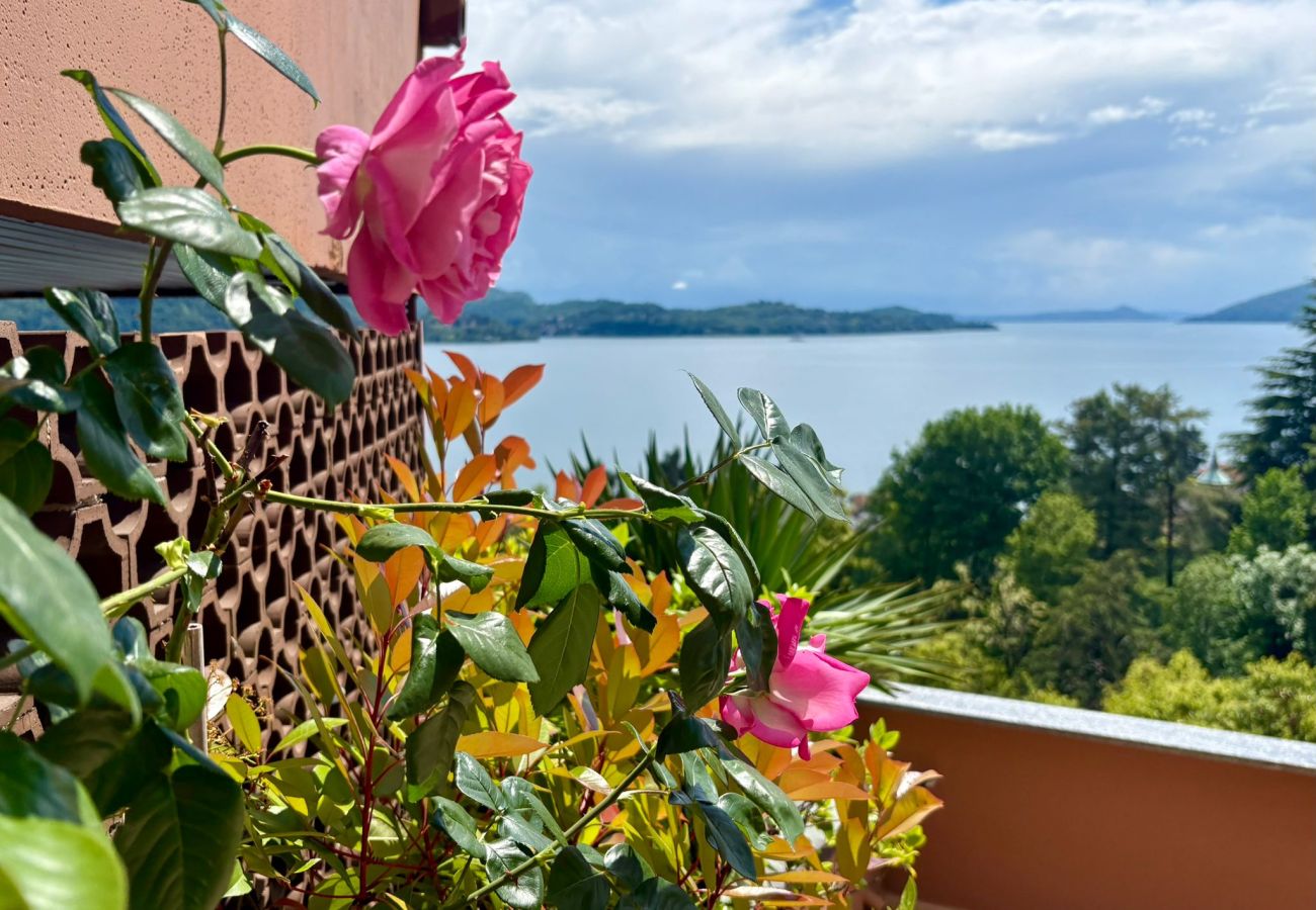 Appartamento a Ghiffa - Bella Rosa Apartment in Ghiffa with lake view