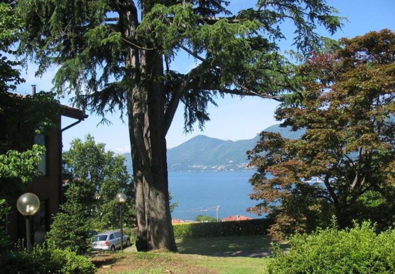 Appartamento a Luino - Cordelia 9 Apartment with pool in Luino