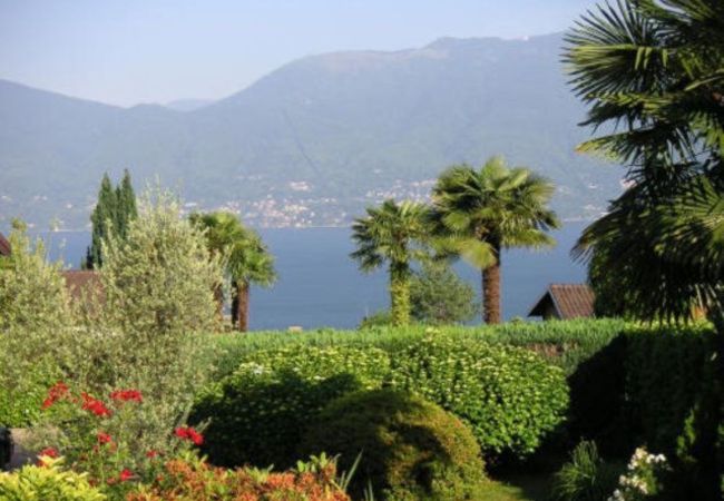 Villa a Brezzo di Bedero - Mirabella villa with pool and garden  in Brezzo di Villa a Brezzo di Bedero - Mirabella villa with pool and garden  in Brezzo di